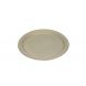 EC Earth 9'' Compostable Bagasse Round Plates, White - 500 ct