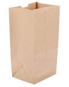 Paper Grocery Bag, #10 Brown - 500 CT/BDL (6 7/16 x 4  x 13 6/16 in LxWxH)